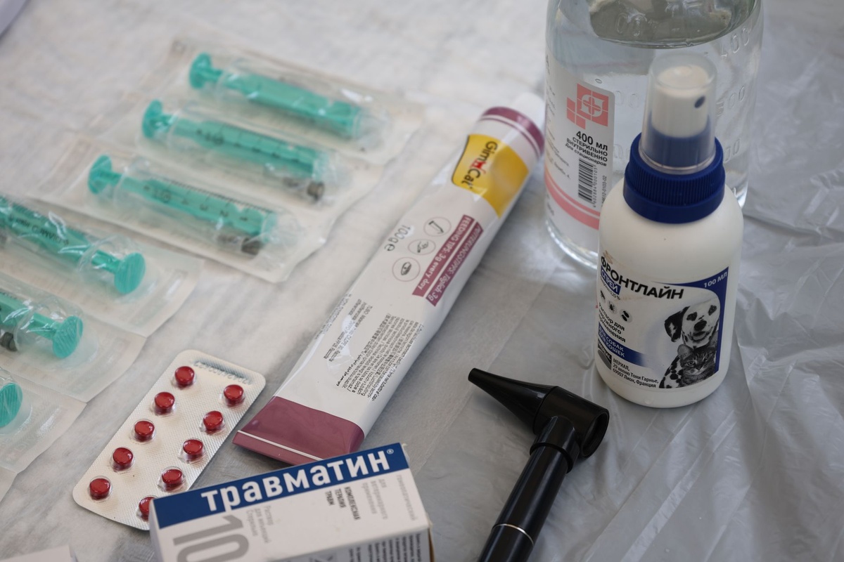Дезинфекция в ветеринарной клинике Препараты ветлечебницы